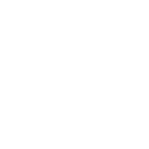Next Dream
